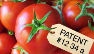 Tomaten Patent