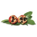Akee | Magazin Freshbox
