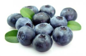 Blaubeeren_Magazin_Freshbox