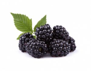 Brombeeren_Magazin_Freshbox