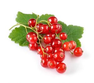 Johannisbeeren_Magazin_Freshbox