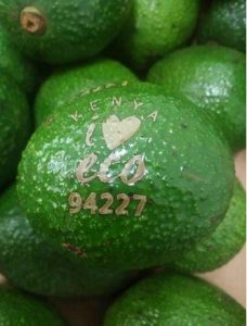 Limette_Magazin_Freshbox