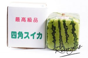 watermelon_Magazin_Freshbox