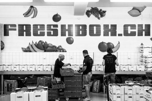 Unsere Freshbox-Produktion am Früchteboxen abpacken