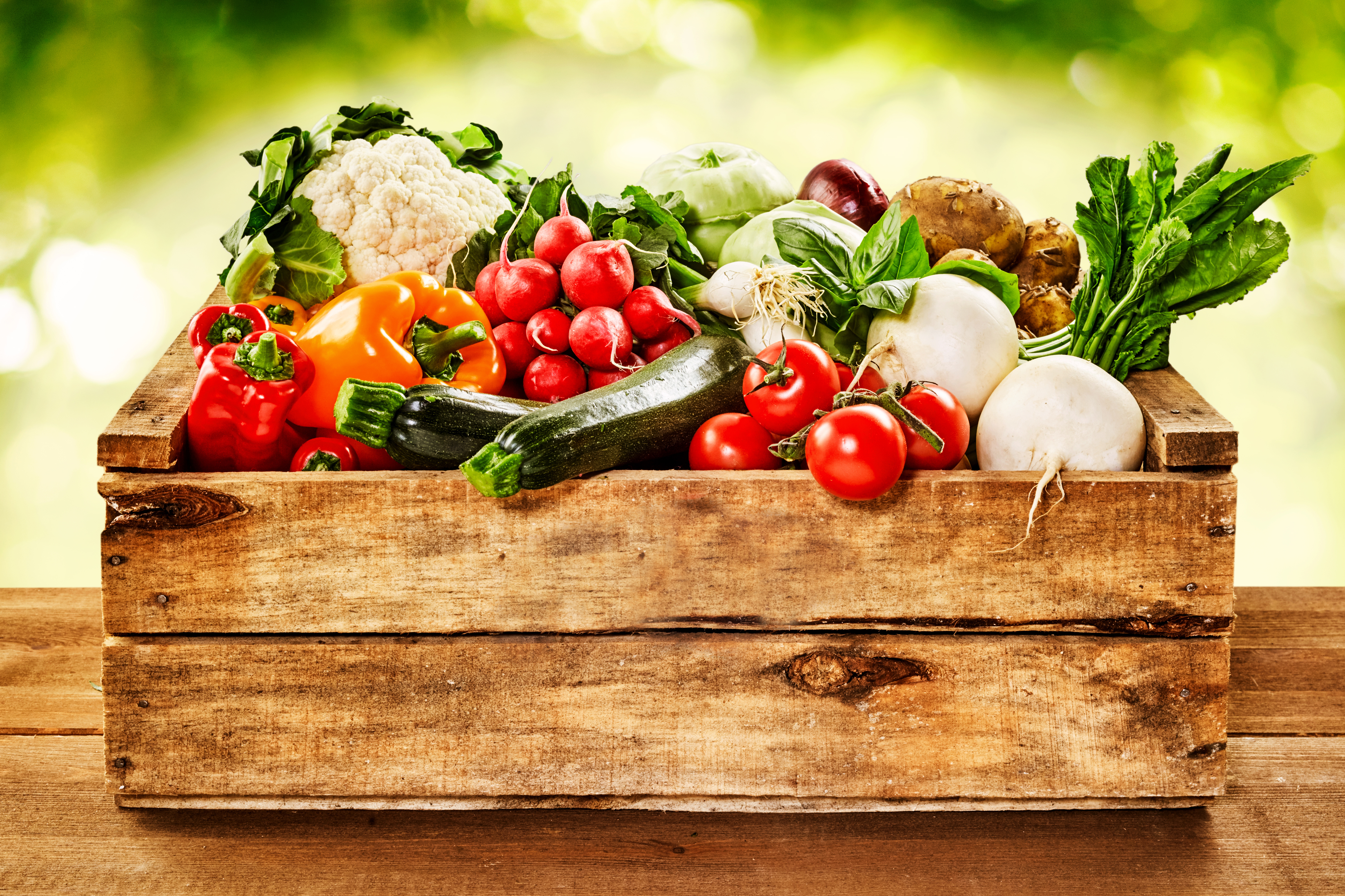 Wooden crate of farm fresh vegetables with cauliflower, tomatoes, zucchini, turnips and colorful sweet bell peppers on a wooden table outdoors in sparkling sunlight on greenery
