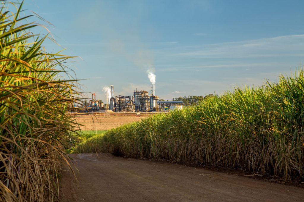 84684631 - factory sugar cane